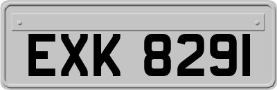 EXK8291