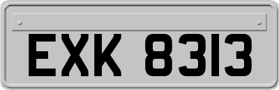 EXK8313