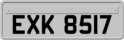 EXK8517