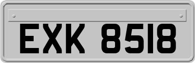 EXK8518