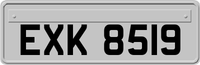EXK8519