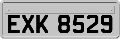 EXK8529