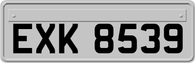 EXK8539
