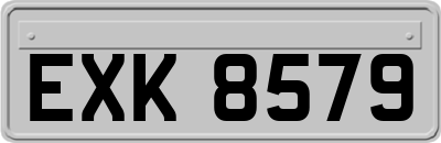 EXK8579