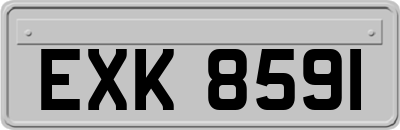 EXK8591