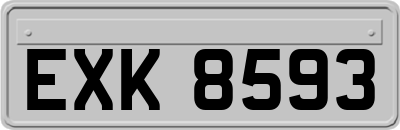 EXK8593