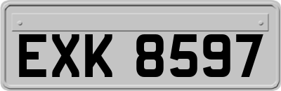 EXK8597
