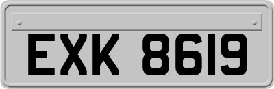 EXK8619