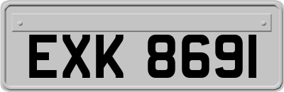 EXK8691
