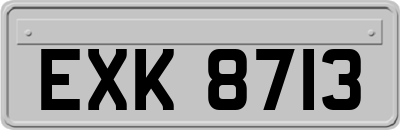 EXK8713