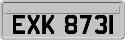 EXK8731