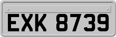 EXK8739