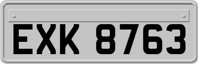EXK8763