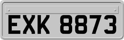EXK8873