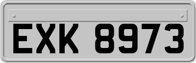 EXK8973