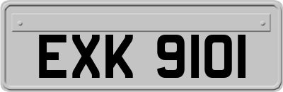 EXK9101
