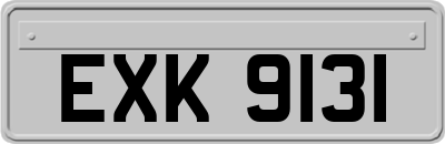 EXK9131