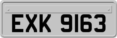 EXK9163