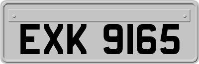 EXK9165