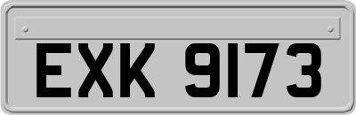 EXK9173
