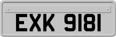 EXK9181