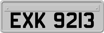 EXK9213