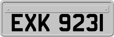 EXK9231
