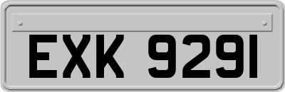 EXK9291