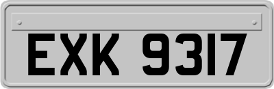 EXK9317