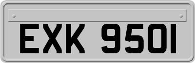 EXK9501