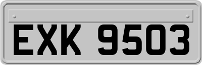 EXK9503
