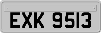 EXK9513