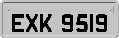 EXK9519