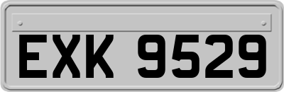 EXK9529