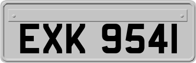 EXK9541