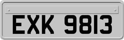 EXK9813