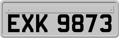 EXK9873