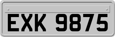 EXK9875