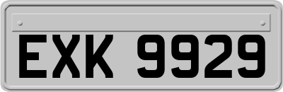 EXK9929