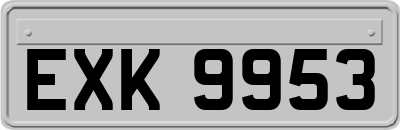 EXK9953