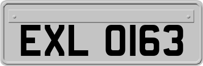 EXL0163