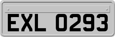 EXL0293