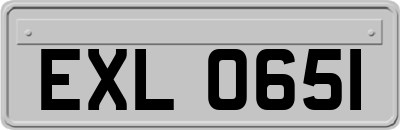 EXL0651