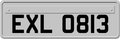 EXL0813
