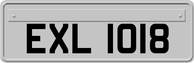 EXL1018