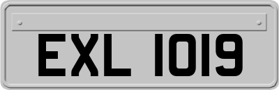 EXL1019