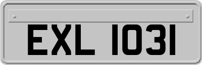 EXL1031