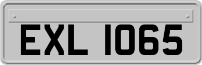 EXL1065