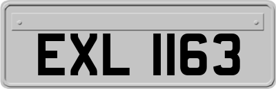 EXL1163