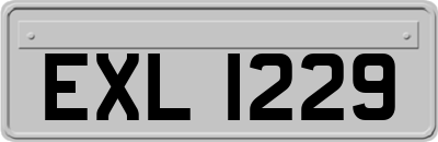 EXL1229
